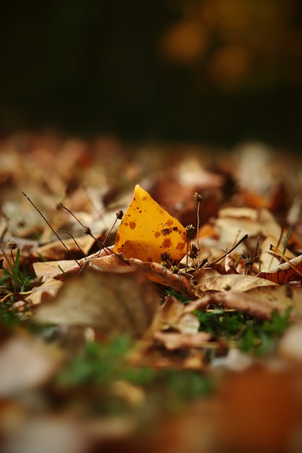 一次生动展 一次生动展