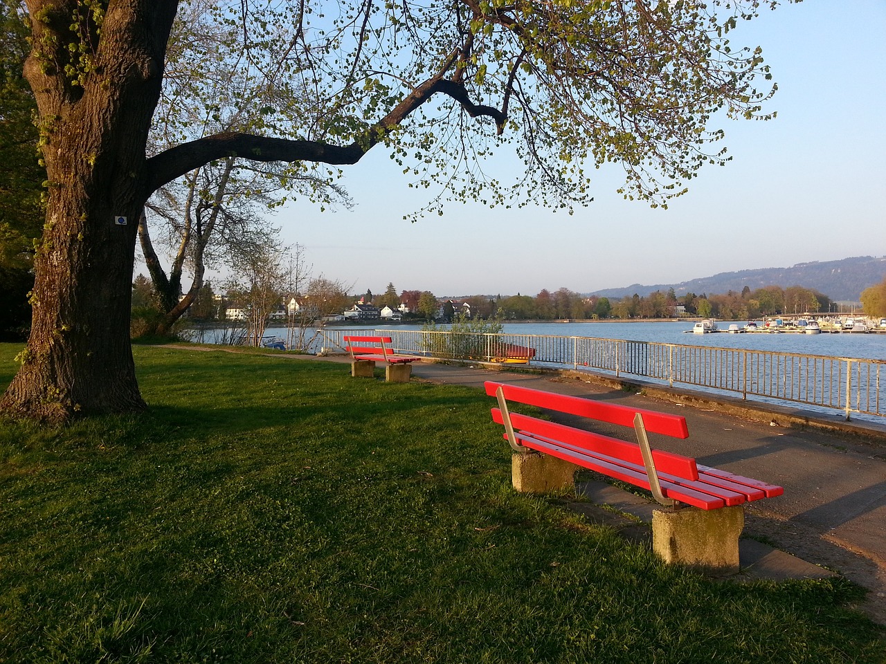 更是成为这 更是成为这