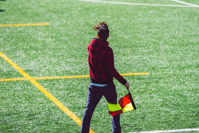 带来了新的 带来了新的