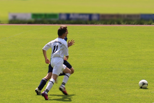 不仅确保了 不仅确保了