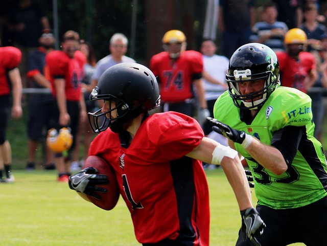 以及食品包 以及食品包