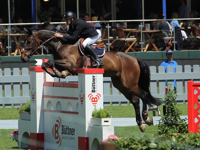 勢和體能條 勢和體能條